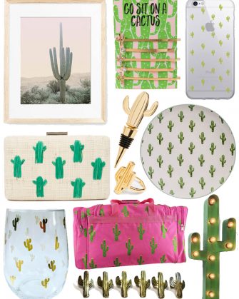 Gifts for the cactus lovers