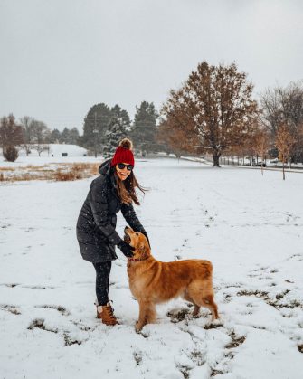 Patagonia Down with it parka